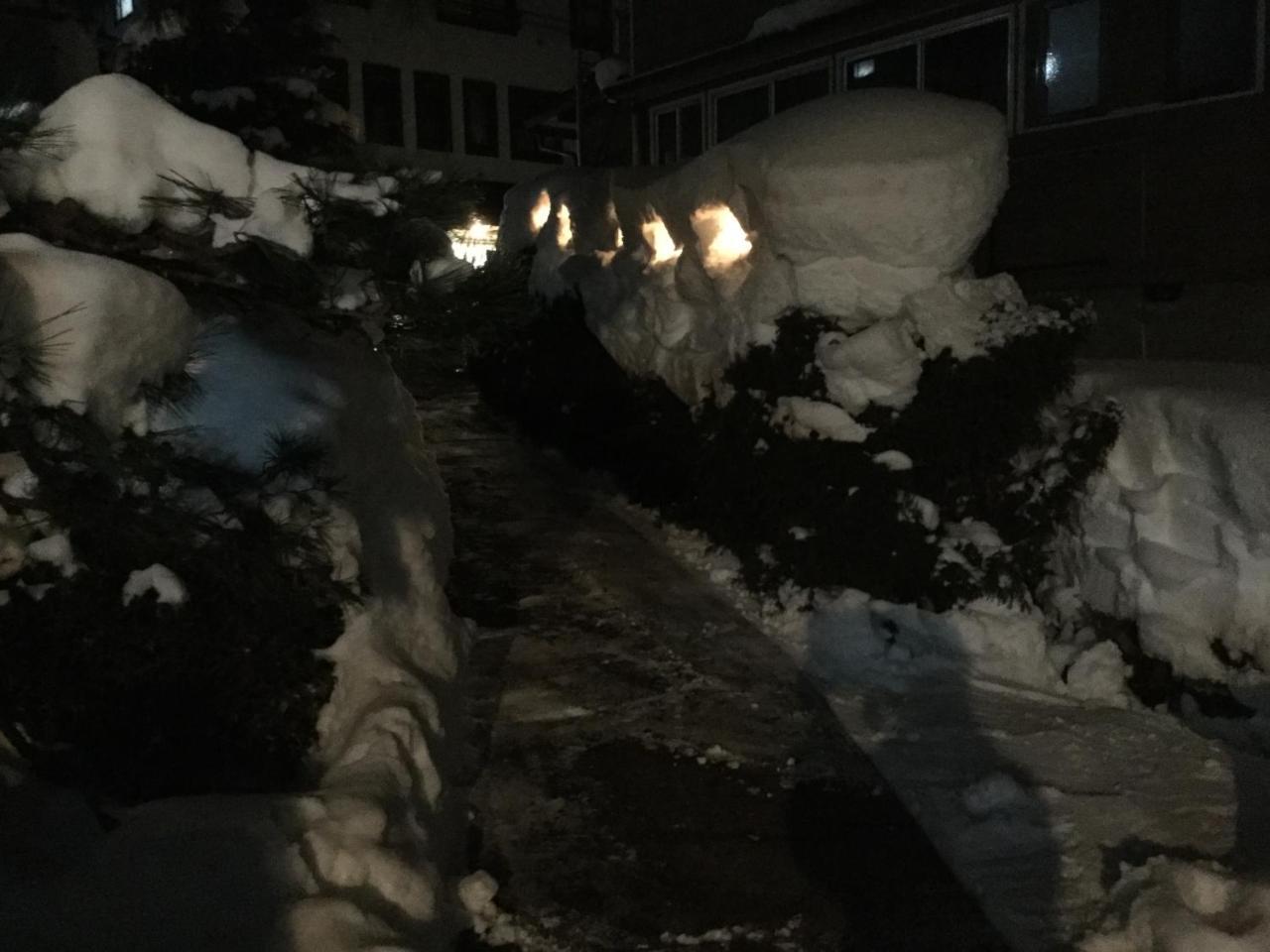Tobei Hotel Nozawaonsen Eksteriør billede